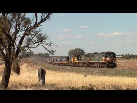 Australian Freight Train: PN Grain near Boort.  Sun 15/01/12