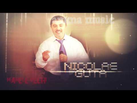 Nicolae Guta  -  Am atatea probleme