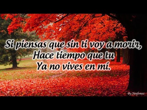 Ya No Vives en Mí - Bandononona Clave Nueva LETRA CANCIÓN