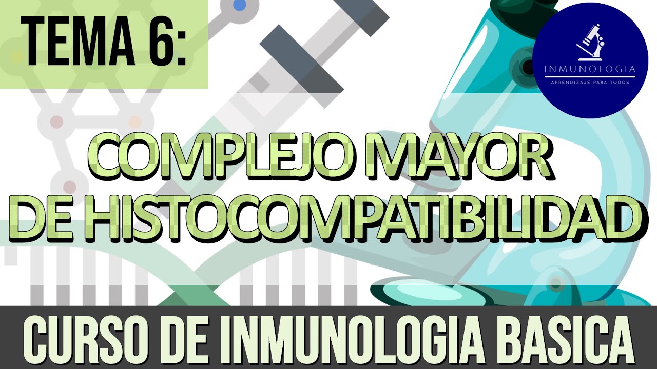 Complejo Mayor de Histocompatibilidad | MHC-HLA
