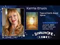 LlewellynCon 2023: Kerrie Erwin: Types of Earthbound Spirits