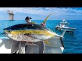 Alabama S All Time Largest Tuna Monster Mission Catch Clean Cook