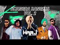 Bhangra Bangers Vol 2 | Bhangra Mashup | NonStop Bhangra Mix | Dj Harj Bhamraa