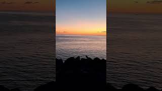 Download lagu #music #fypシ゚ #viralvideo #viralshorts #video #italy mp3 Download lagu #music #fypシ゚ #viralvideo #viralshorts #video #italy mp3