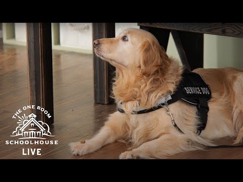 10/22/2020 - Service Dog Lesson - The One Room Schoolhouse LIVE