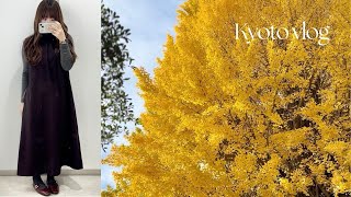 Kyoto vlog | 京都ひとり暮らしの日常 | イチョウを楽しむ2Days | シルバニアファミリー | Ankerプロジェクター