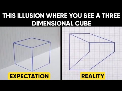 Illusion of 3 Dimensional Cube || Adjusted By Your Point of View || #anamorphosis