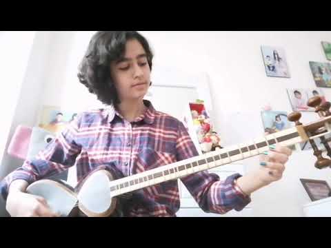 Iranian traditional music 🎶 tar