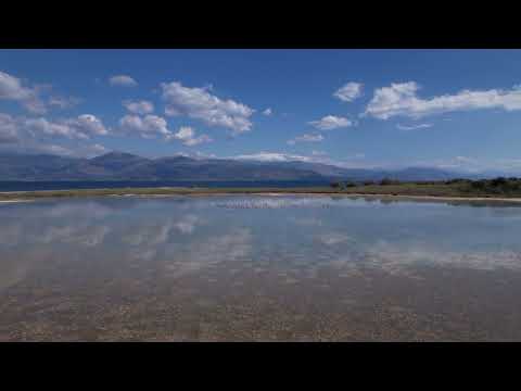 Υδροβιότοπος Αλυκής | Αχαΐα