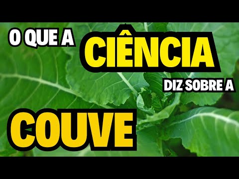 Descubra os Incríveis Benefícios da Couve para a Saúde baseados na ciência