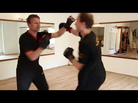 Impression of Wan Kam Leung Practical Wing Chun Kung Fu - Sifu Hajukan