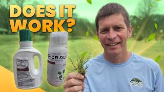 Weed Free Lawn 4 Months Later? Powerful Herbicides Tested