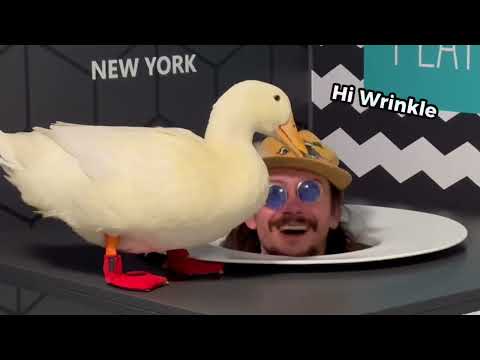 I took my duck to the Museum of Illusions