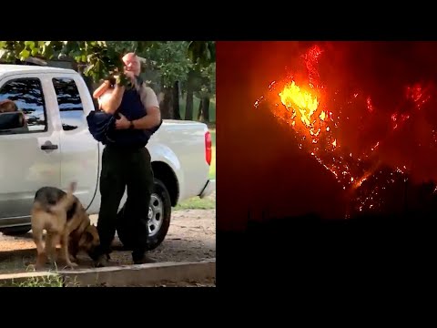 Firefighter Reunited with Daughter After Weeks Away Fighting Wildfires