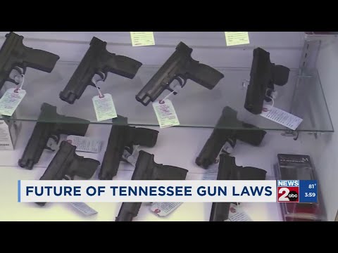 Future of Tennessee gun laws