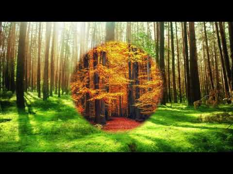 @ionbogdanstefanescu  Nicolae Teodoreanu - Noison