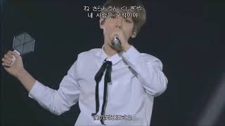 Download lagu [LIVE] TENDER LOVE / EXO【日本語字幕 かなルビ 歌詞】Special Edit. mp3