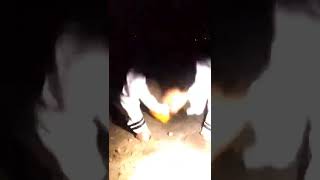 Download lagu story wa latihan ikspi kera sakti terbaru #shorts mp3 Download lagu story wa latihan ikspi kera sakti terbaru #shorts mp3