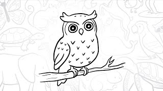 🦉How To Draw a Simple Owl | Step-by-Step Lesson 🌙
