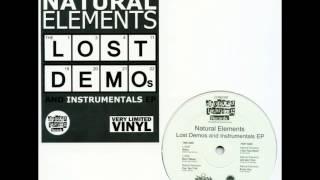 Natural Elements - I Got Your Heart (Instrumental)