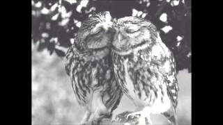 Link Wray  - Return Of The Birdland