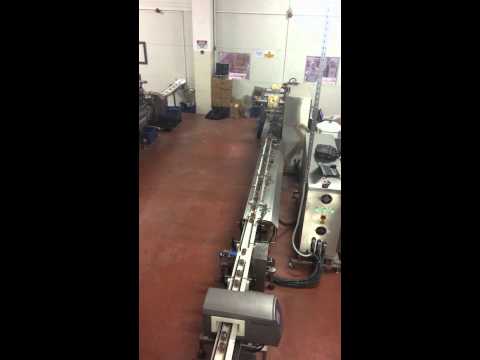 17 Eksen Kek Paketleme Hattı Otomasyonu