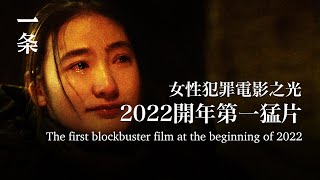 2022開年國產片黑馬出現，業界盛讚At the Beginning of 2022, the Dark Horse of Chinese Films Appeared