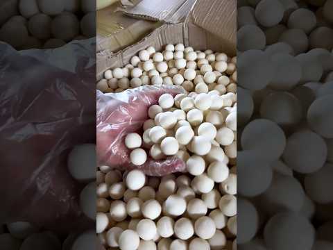 ASMR WHITE QURT ⚪⚪⚪    АМСР БЕЛЫЙ КУРТ👀👀 #asmr #qurt