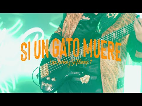 Lupe Borbón y Su Blindaje 7 - Si Un Gato Muere (La Huapanguiza Vol.1)