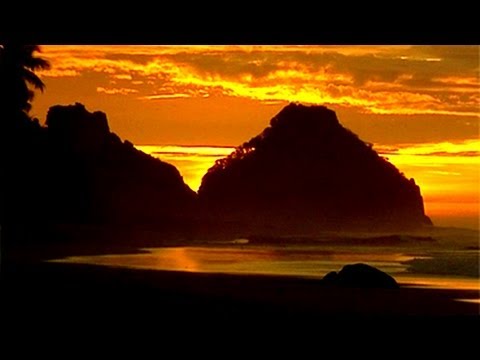 Filmes Dives Brasil Video