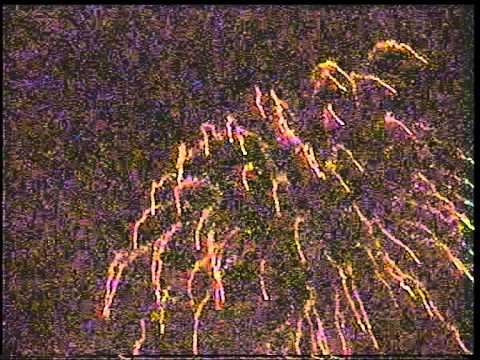 061015 День рождения ночного клуба ~MDC~