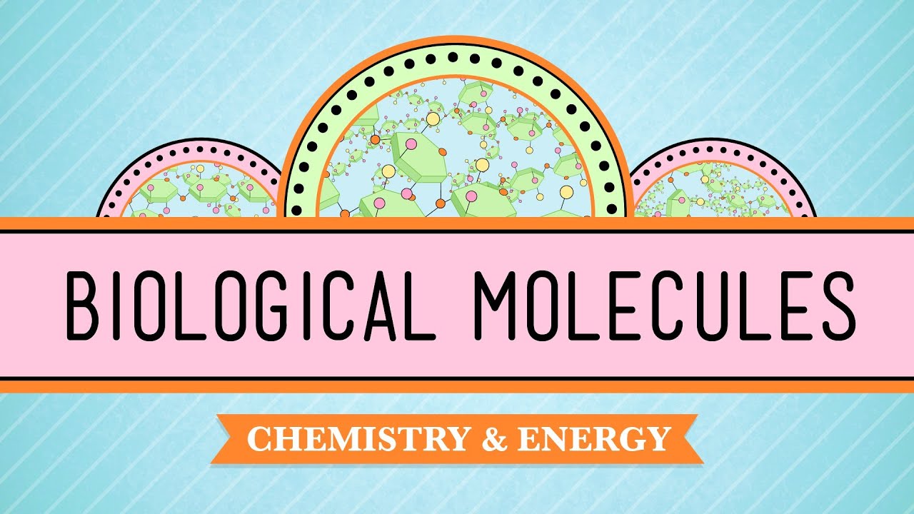 Ch.3 In-Depth Biomolecules