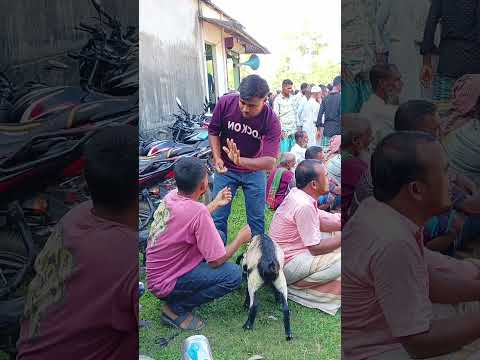 Goats are stolen and sold