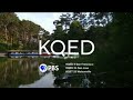 KQED Station ID 2024 2