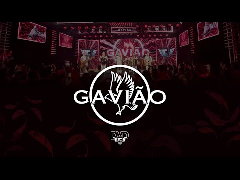 Tchê Chaleira  -  O GAVIÃO - DVD 25 anos