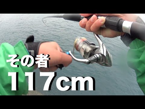 日本海福井のショアジギングで117cmの魚が釣れた… 編