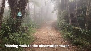 preview picture of video 'Travel Guide to Vietnam | Day 10 Bach Ma National Park | Travel Brat'