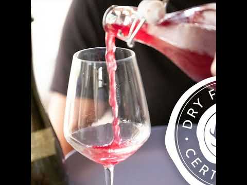 Dry Farm Wines - Todd White - Pt. 1