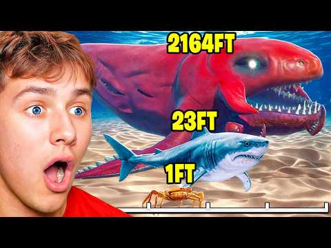 Reacting To SEA MONSTER SIZE COMPARISON