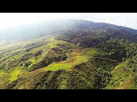 Moravia Landing strip