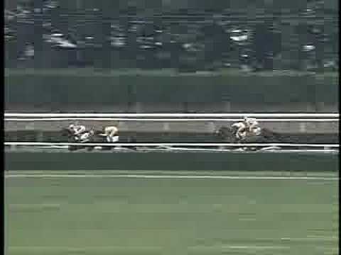 1994 Manhattan Handicap