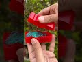 Disney Cars Toys Lightning McQueen Disneycars Mcqueentoys Toys