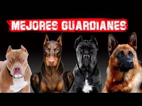 😮 The 10 Best Guard Dogs in the World #dogs