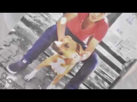 Narkoz Ex _ Zehredar - Sürgün Sevdam (2012)