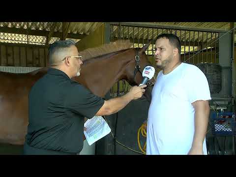 Clásico Día de la Raza 2022 - Félix Maldonado (Tapidlected)