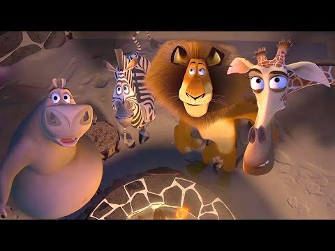 Madagascar - What Are the Animals Doing