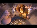 DreamWorks Madagascar Wild Sweet Wild Madagascar Movie Clip Madagascar Kids Movies