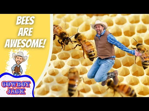 Bees Are Awesome for Kids