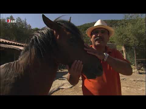 Inseln des Mittelmeeres: Kreta – Die Wilde Doku (2009)