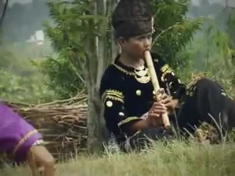 Saluang-bujang lapuak